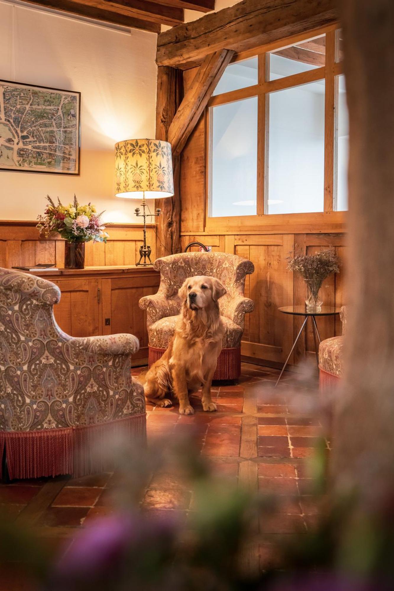 L'Absinthe Hotel Honfleur Exteriér fotografie